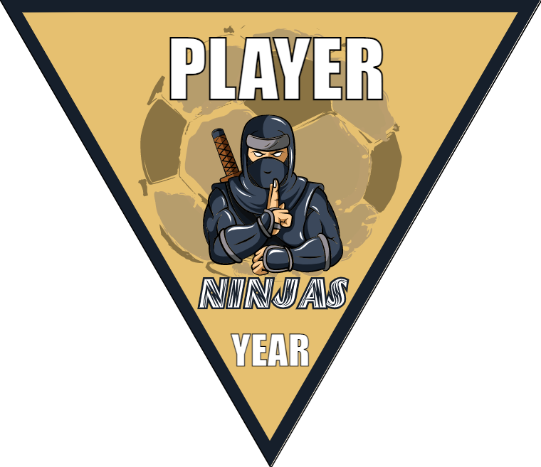 Ninjas - Triangle Soccer Banners