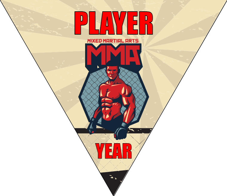 MMA - Triangle Soccer Banners