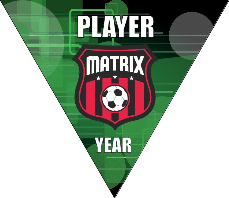 Matrix - Triangle Soccer Banners