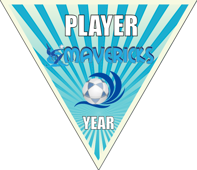 Mavericks - Triangle Soccer Banners