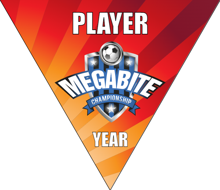 Megabite - Triangle Soccer Banners