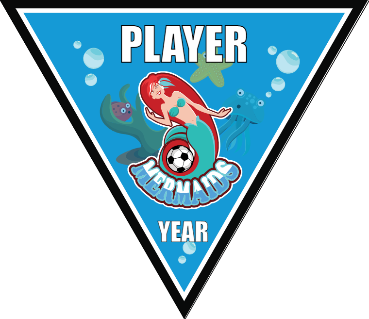 Mermaids 2 - Triangle Soccer Banners