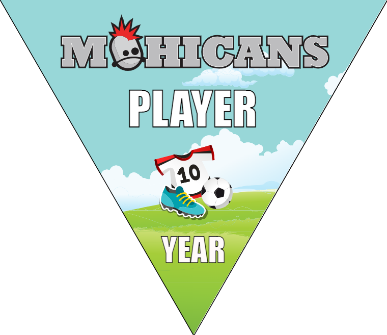 Mohicans - Triangle Soccer Banners