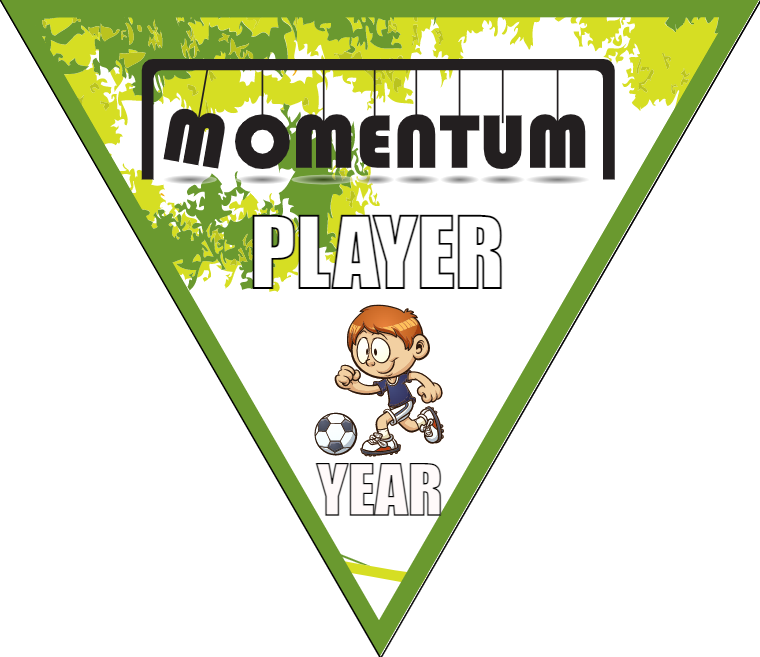 Momentum - Triangle Soccer Banners