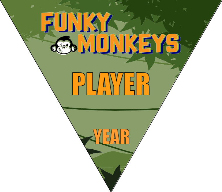 Funky Monkeys - Triangle Soccer Banners
