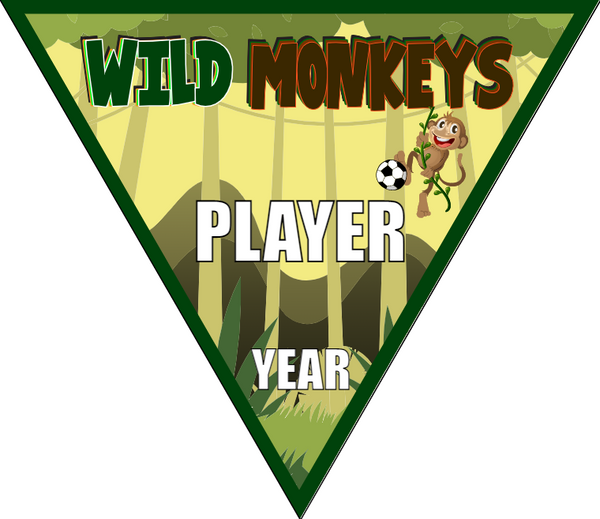Wild Monkeys - Triangle Soccer Banners