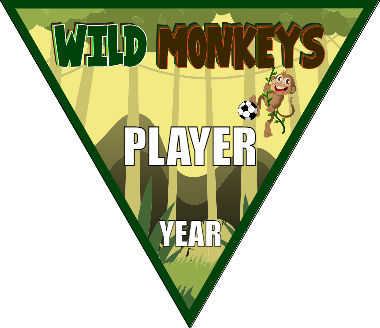 Wild Monkeys - Triangle Soccer Banners