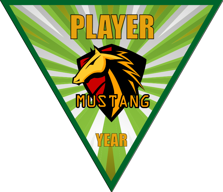 Mustang - Triangle Soccer Banners
