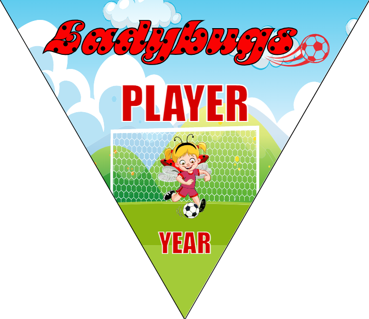 Lady Bugs - Triangle Soccer Banners