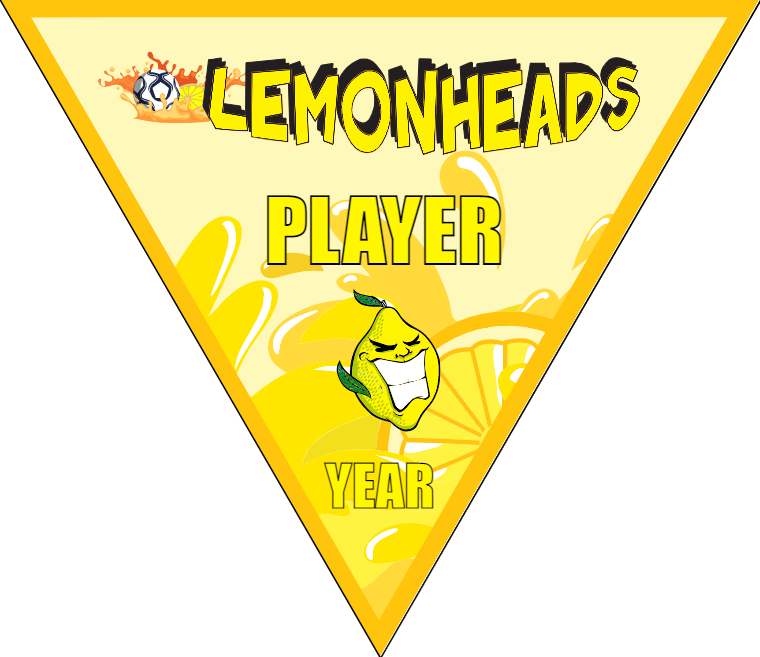 Lemonheads - Triangle Soccer Banners