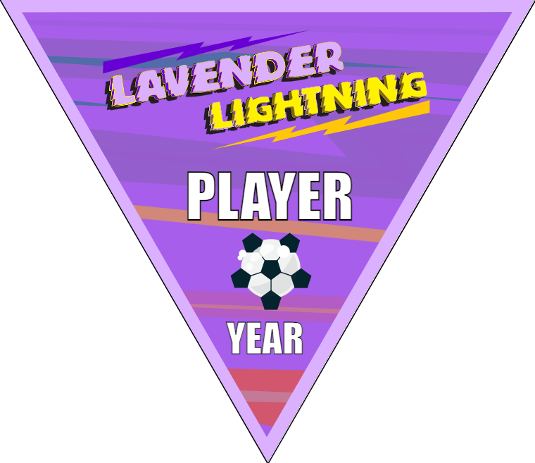 Lavender Lightning - Triangle Soccer Banners