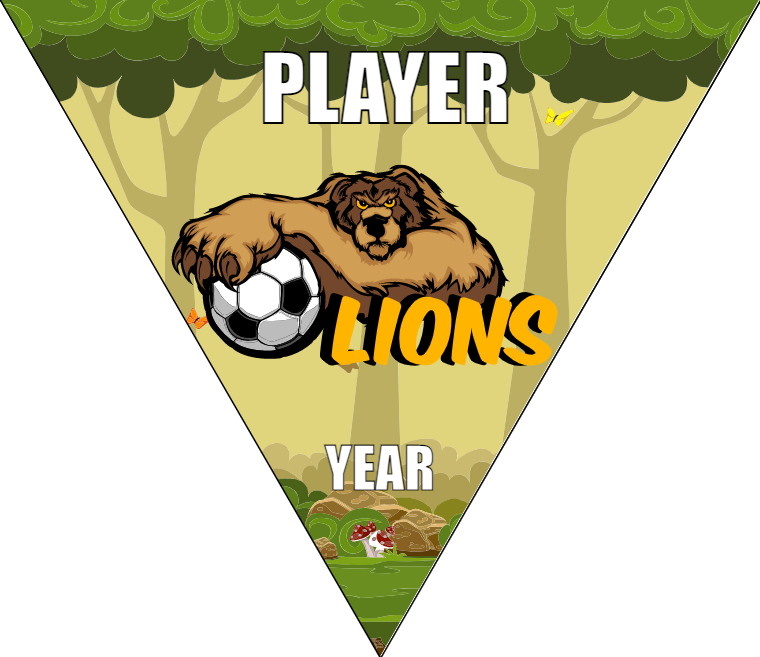 Lions - Triangle Soccer Banners