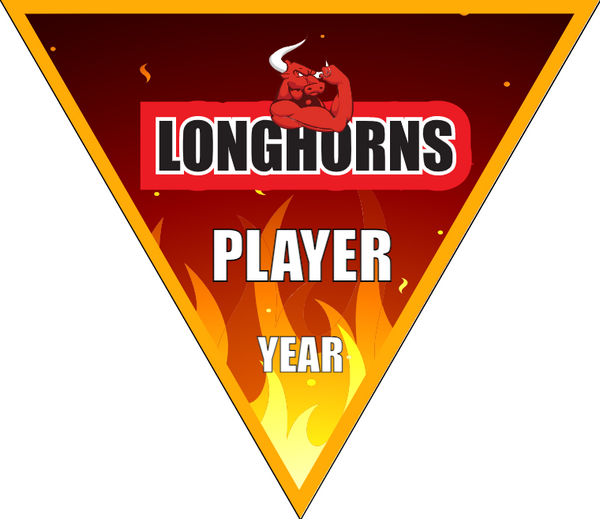Longhorns - Triangle Soccer Banners
