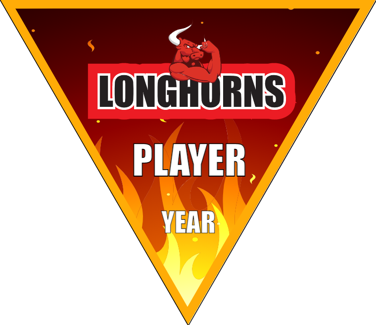 Longhorns - Triangle Soccer Banners