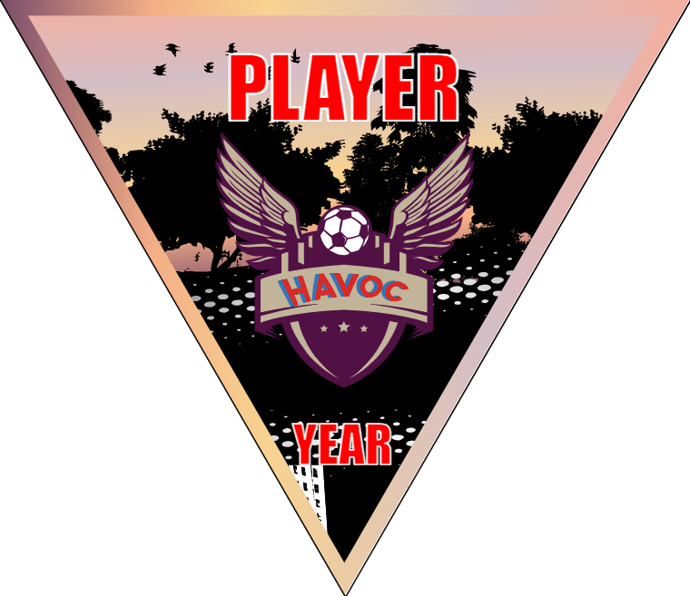 Havoc - Triangle Soccer Banners