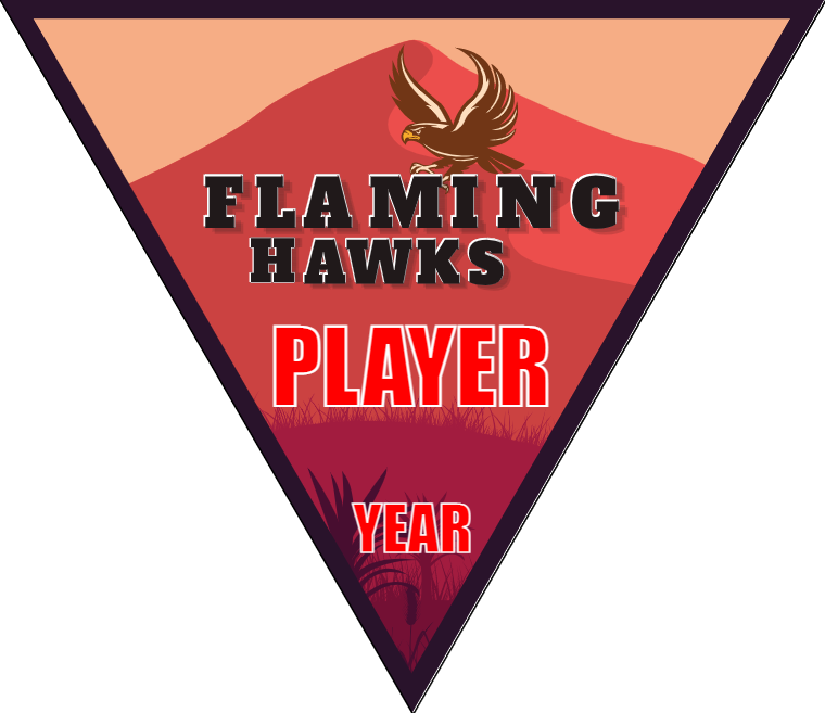 Flaming Haws - Triangle Soccer Banners