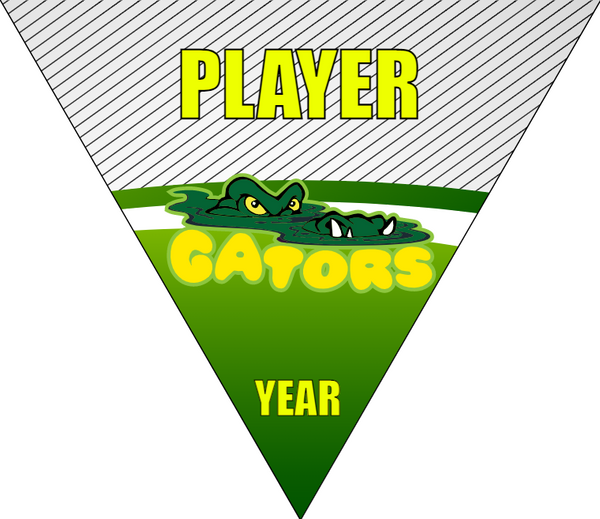 Gators - Triangle Soccer Banners