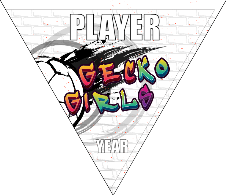 Gecko Girls - Triangle Soccer Banners