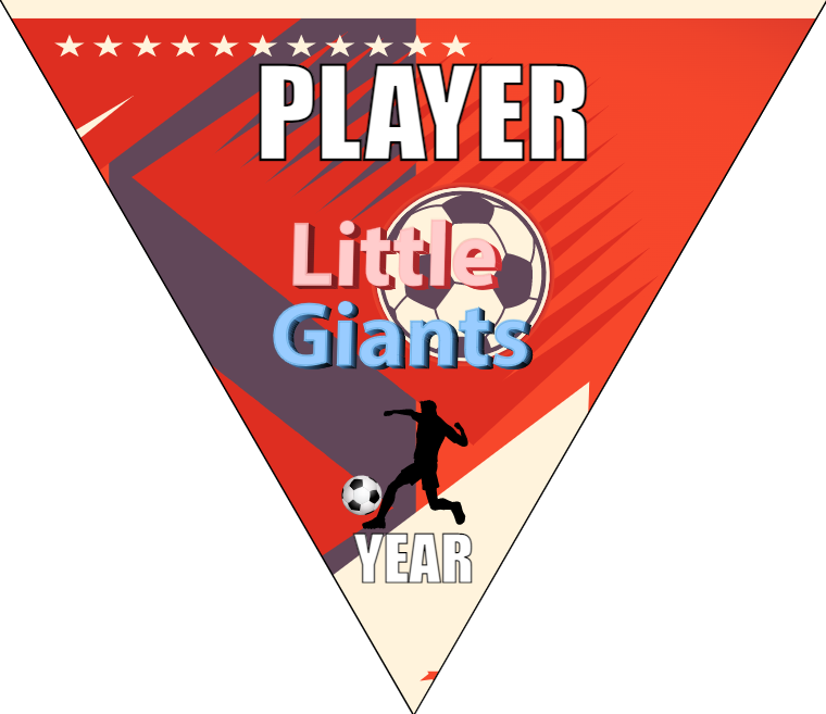 Little Giants - Triangle Soccer Banners