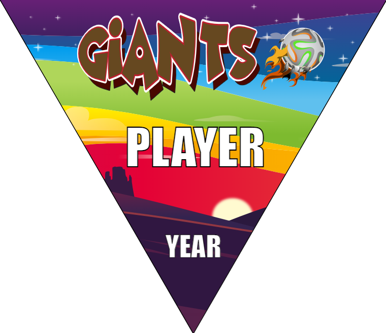 Giants - Triangle Soccer Banners