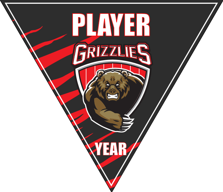 Grizzlies - Triangle Soccer Banners