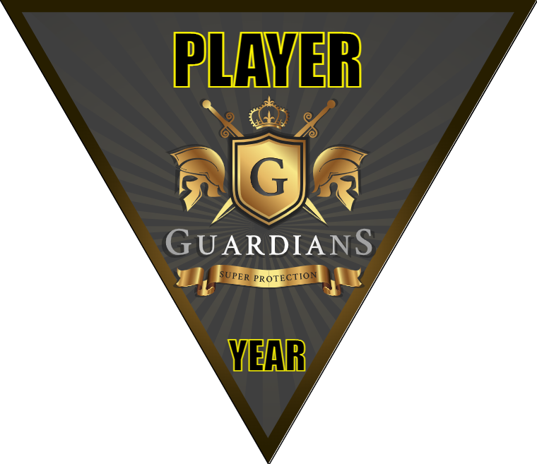 Guardians - Triangle Soccer Banners