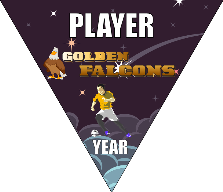 Golden Falcons - Triangle Soccer Banners