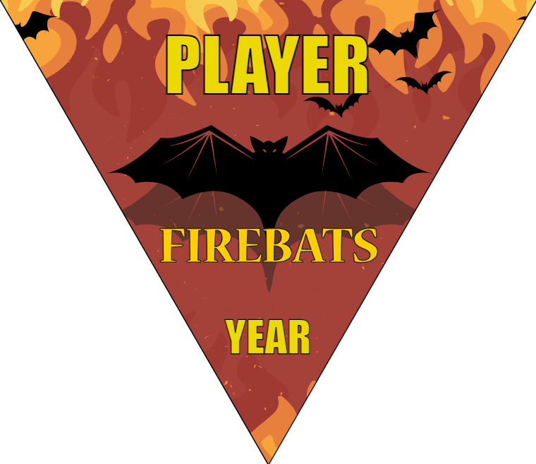 Firebats - Triangle Soccer Banners