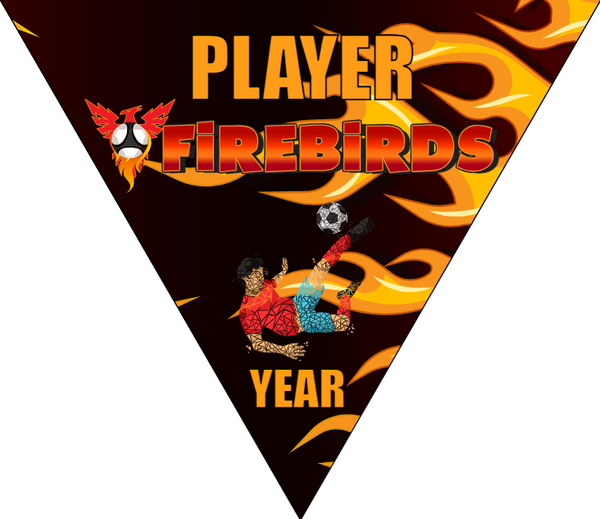 Firebirds - Triangle Soccer Banners