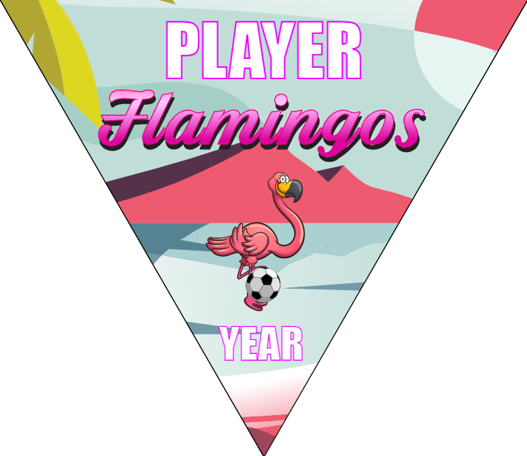 Flamingos - Triangle Soccer Banners