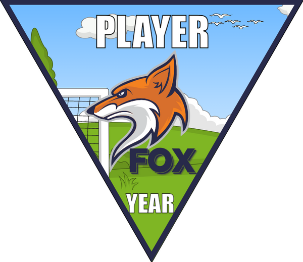 FOX - Triangle Soccer Banners