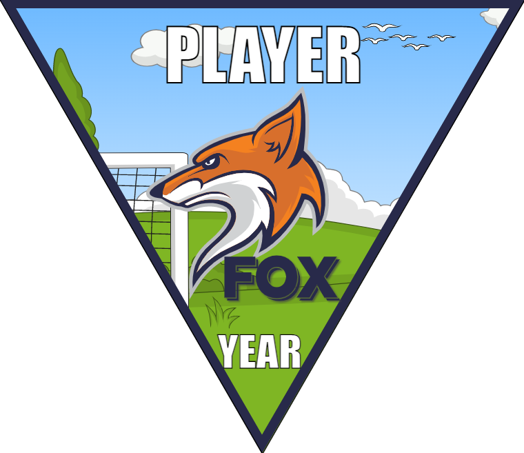 FOX - Triangle Soccer Banners