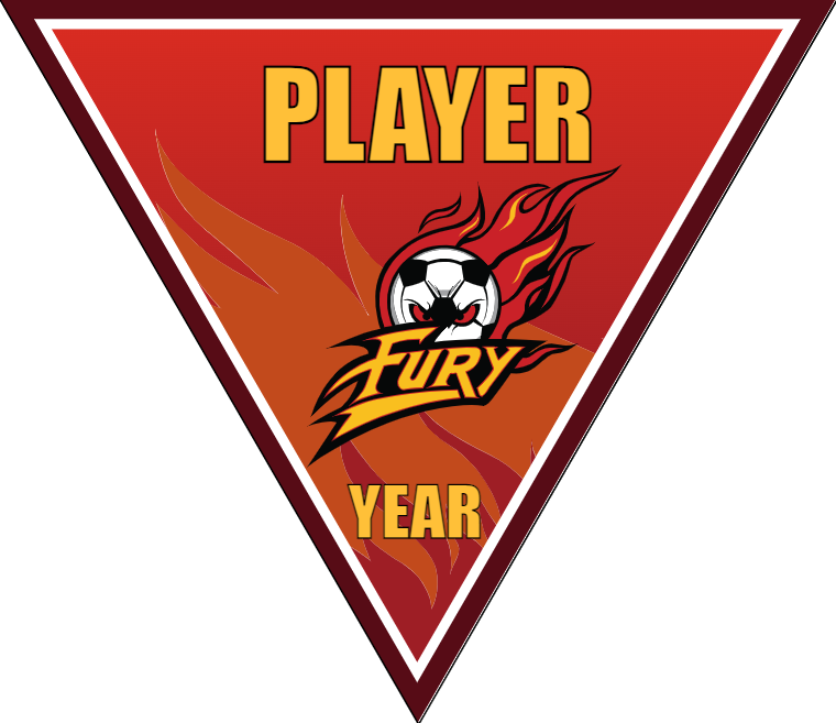Fury - Triangle Soccer Banners