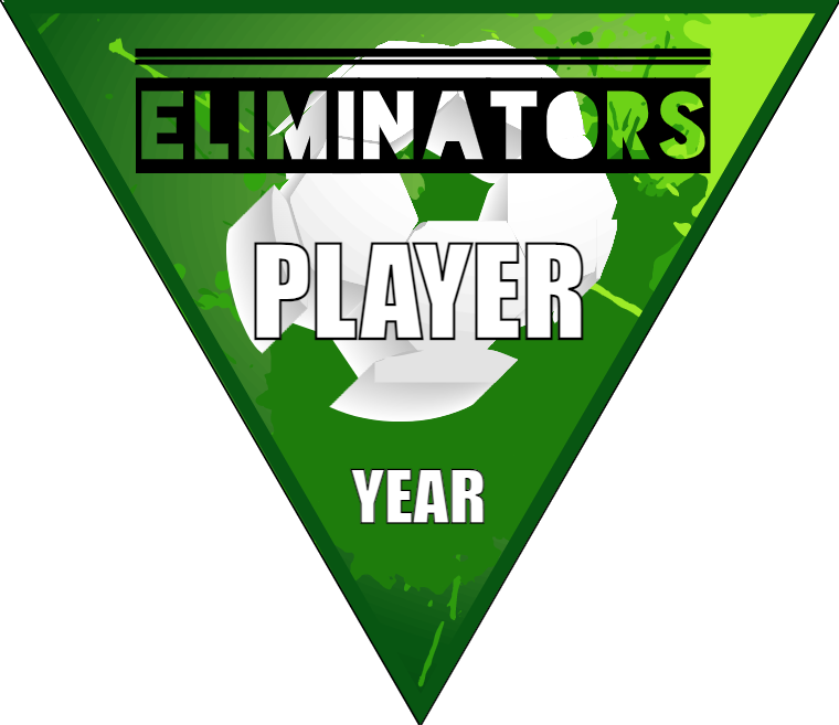 Eliminators - Triangle Soccer Banners
