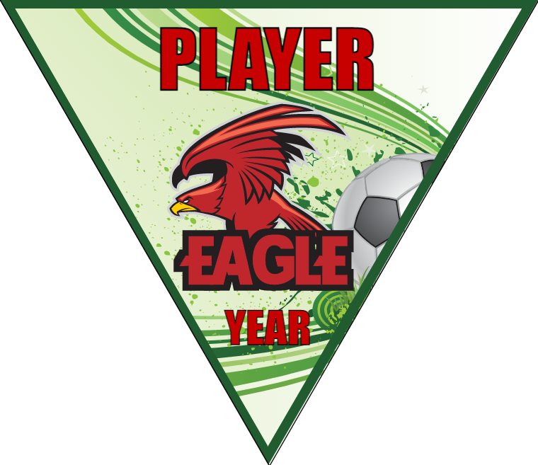Eagle - Triangle Soccer Banners