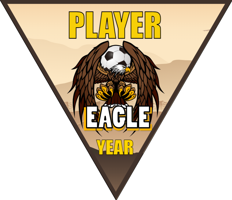 Eagle 2 - Triangle Soccer Banners