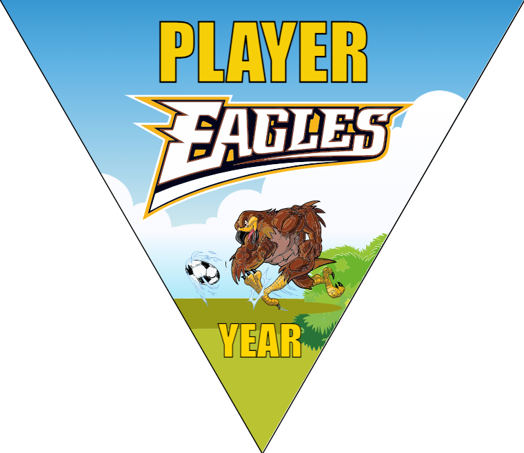 Eagles - Triangle Soccer Banners