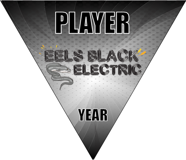 Eels Black Electric - Triangle Soccer Banners
