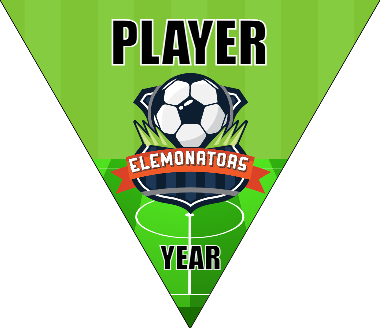 Elemonators - Triangle Soccer Banners