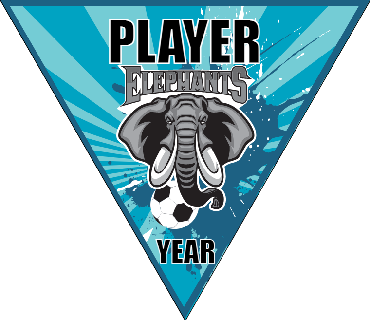 Elephants - Triangle Soccer Banners