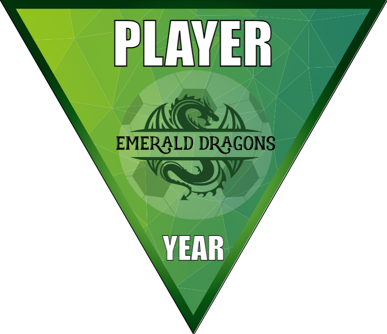 Emerald Dragons- Triangle Soccer Banners
