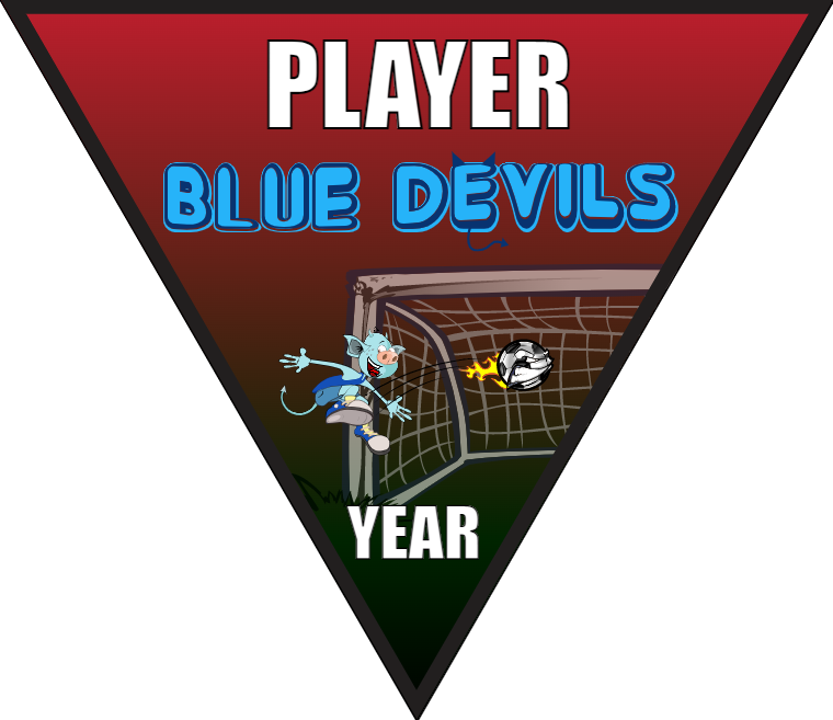 Blue Devils - Triangle Soccer Banners