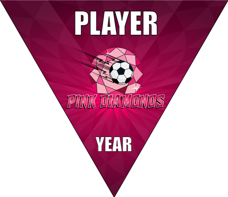 Pink Diamonds - Triangle Soccer Banners
