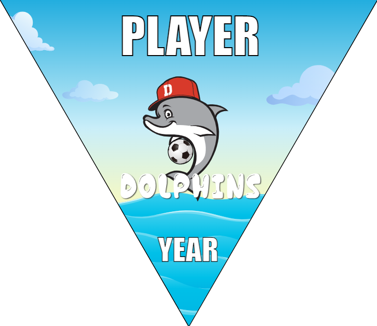 Dolphins - Triangle Soccer Banners