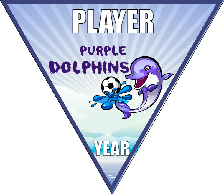 Purple Dolphins - Triangle Soccer Banners