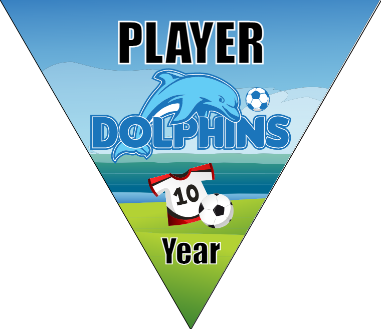 Dolphins 2 - Triangle Soccer Banners