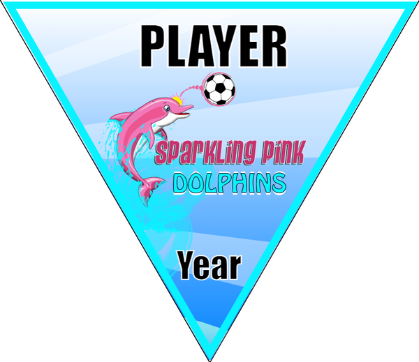Pink Dolphins - Triangle Soccer Banners