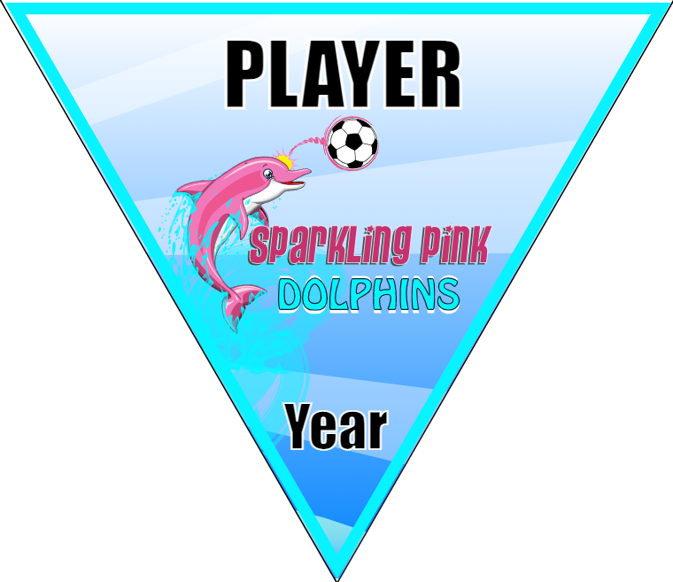 Pink Dolphins - Triangle Soccer Banners
