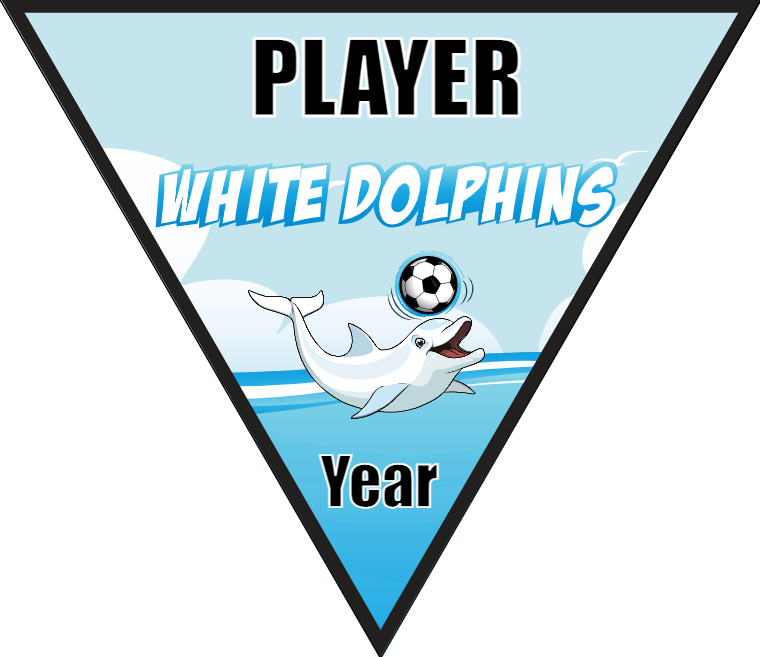 White Dolphins - Triangle Soccer Banners