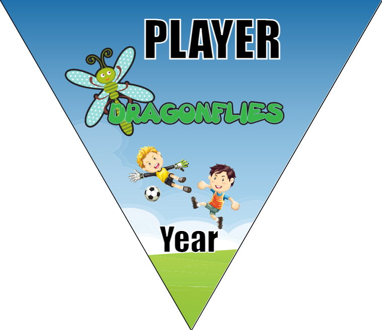 Dragonflies 2 - Triangle Soccer Banners